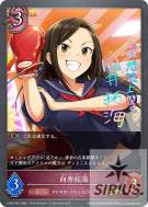 向井拓海