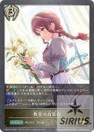 教室の白百合