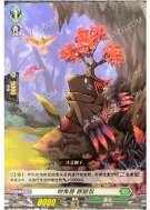 树角兽 豚鼹鼠