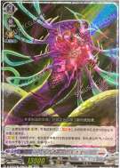 引力孕育者·巴库维里托