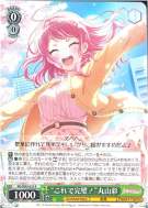 “これで完璧！”丸山彩