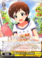 夏のおすそわけ　木下ひなた