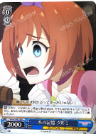 本の記憶 クルミ