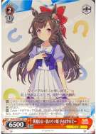 華麗なる一族のウマ娘 ダイイチルビー