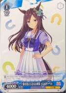 傷を抱えて走るお嬢様 メジロドーベル