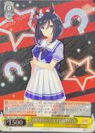 謹厳実直なメッチェン エイシンフラッシュ